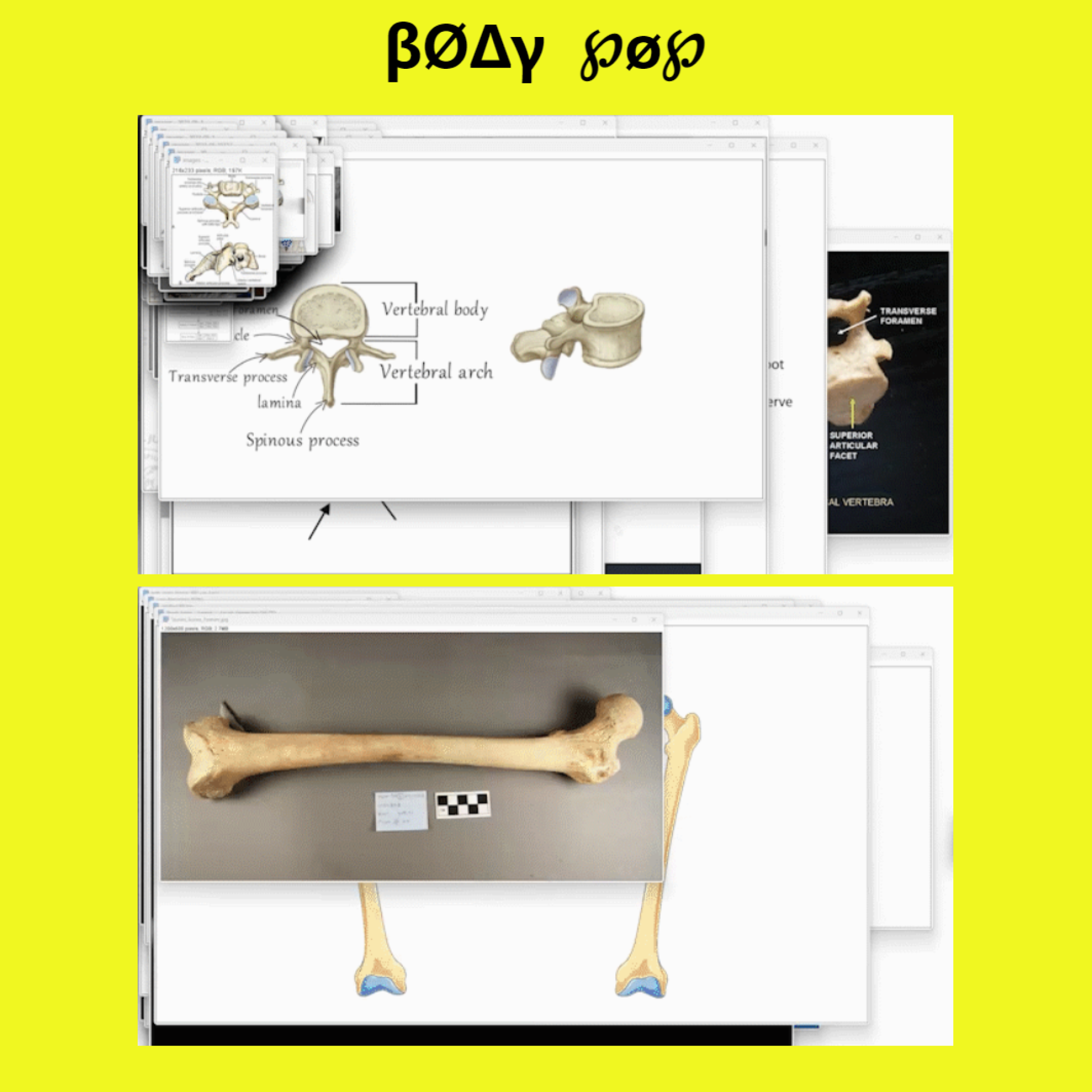 Workshop-–-Body-Pop-–-HUANG-Jieyuan